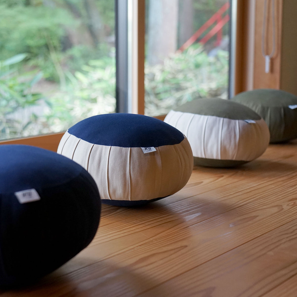 はるざぜんそう、さん確認用 座禅草